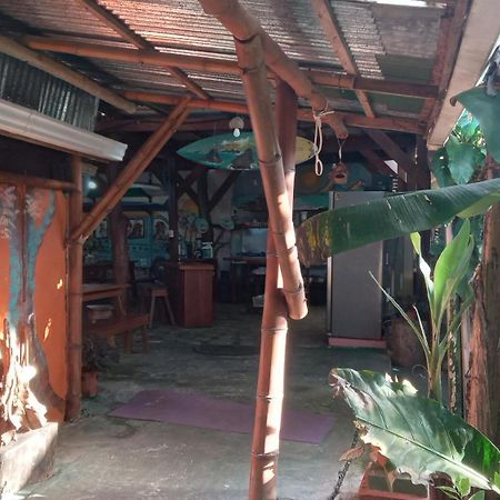 Osa Surf House Hotel Puerto Jiménez Eksteriør billede