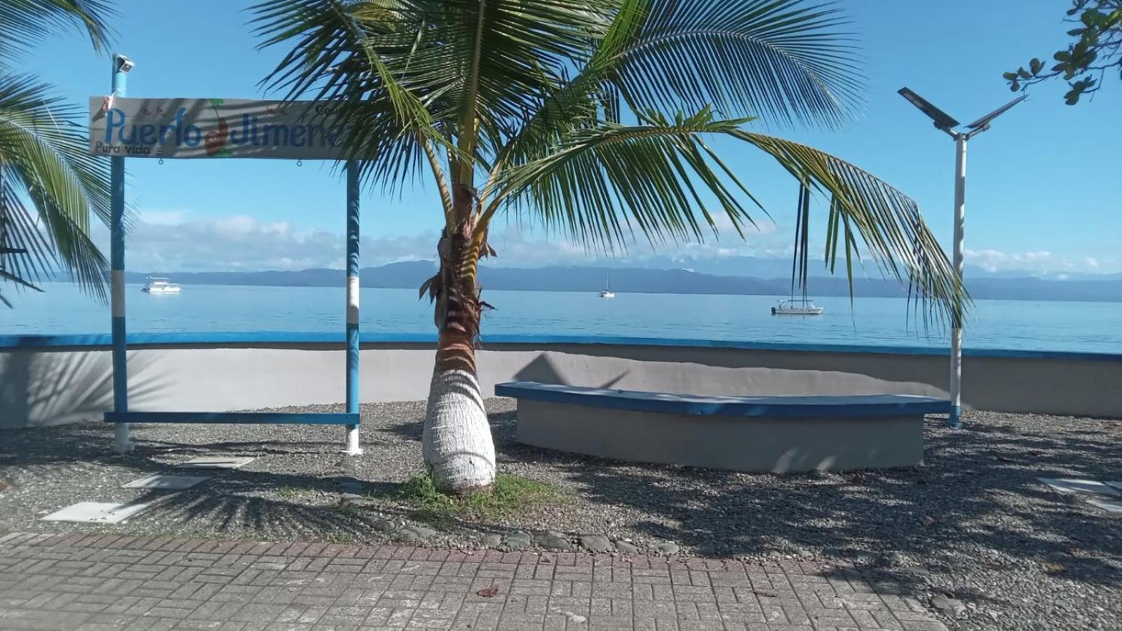 Osa Surf House Hotel Puerto Jiménez Eksteriør billede