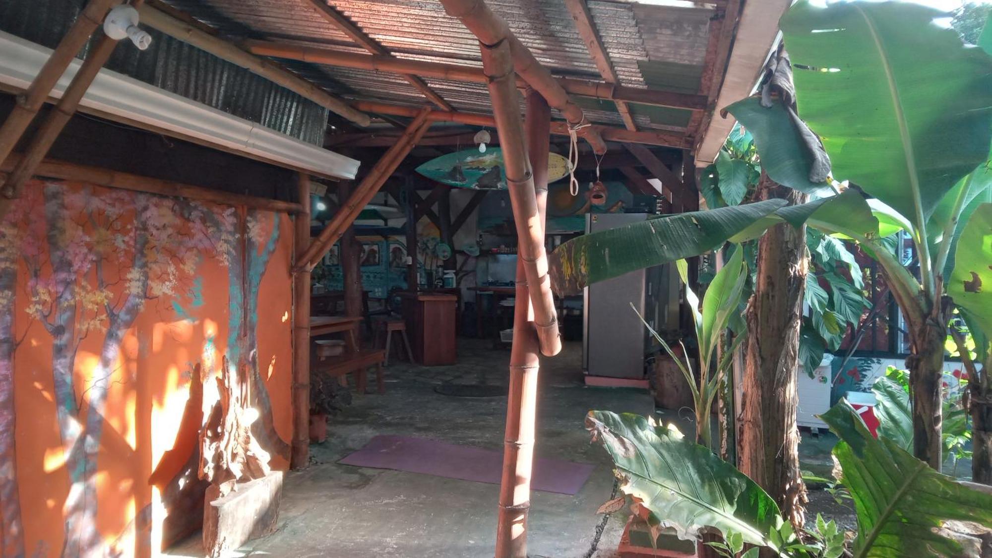 Osa Surf House Hotel Puerto Jiménez Eksteriør billede