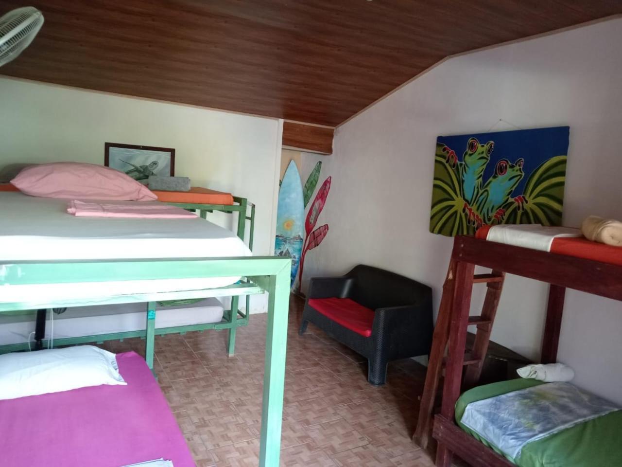 Osa Surf House Hotel Puerto Jiménez Eksteriør billede
