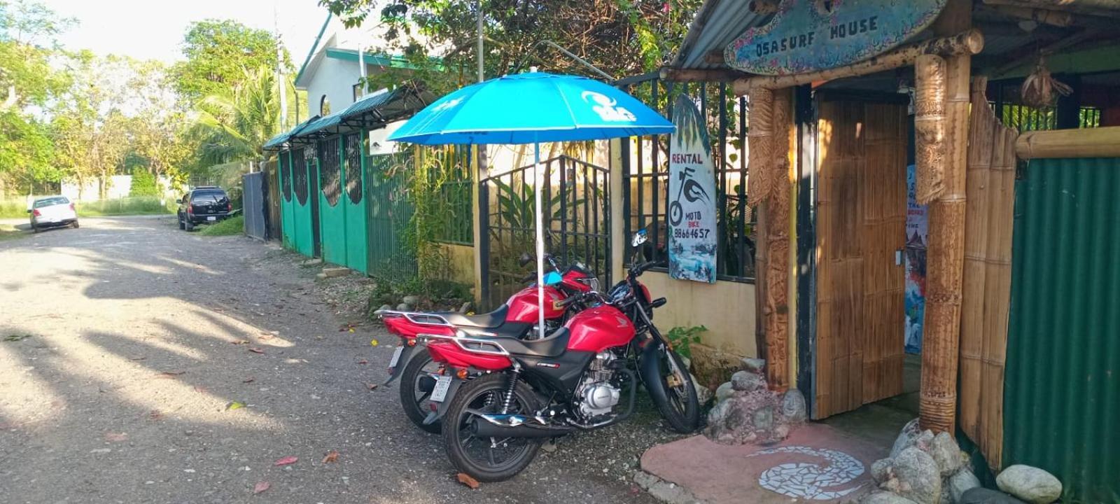 Osa Surf House Hotel Puerto Jiménez Eksteriør billede